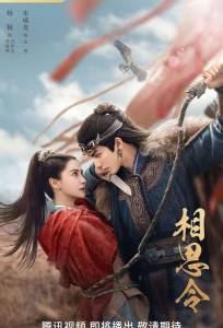 Похищенная невеста / Вечная тоска (сериал 2025)